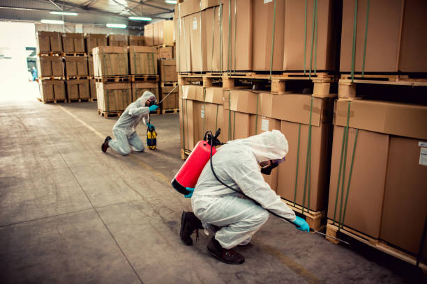 Best Wasp Removal Services  in Danbury, TX