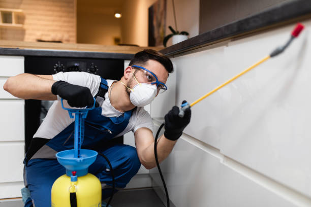 Wildlife Control Services in Danbury, TX