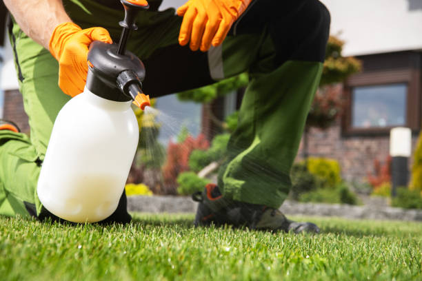 Best Termite Control Services  in Danbury, TX