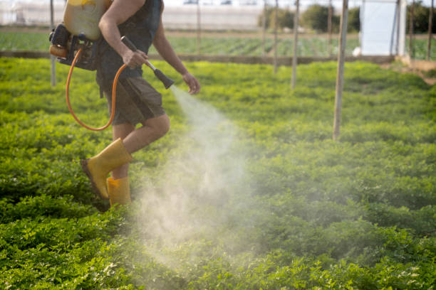 Best Pest Removal Services  in Danbury, TX