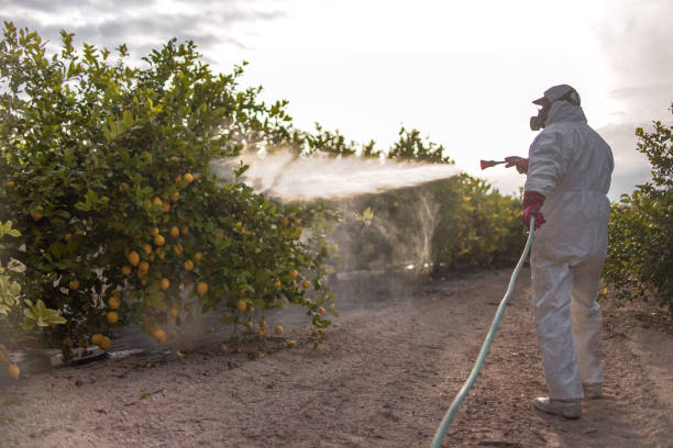 Best Pest Control Near Me  in Danbury, TX