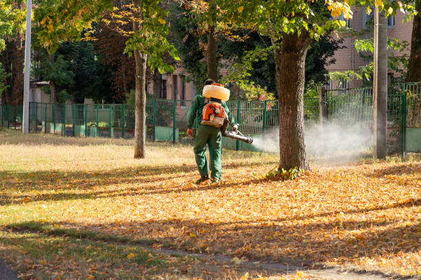 Best Affordable Pest Control Services  in Danbury, TX