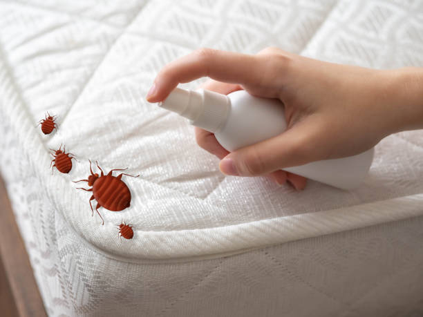 Best Bed Bug Extermination  in Danbury, TX
