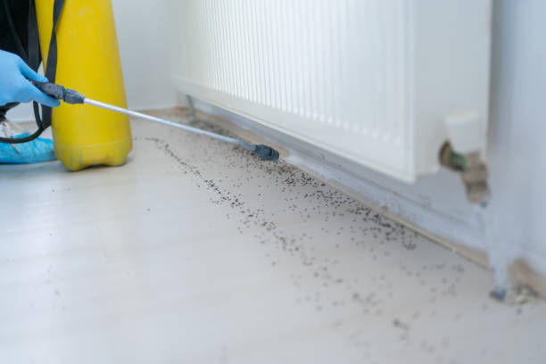 Best Commercial Pest Control Services  in Danbury, TX