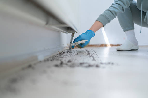 Reliable Danbury, TX Pest Control Solutions